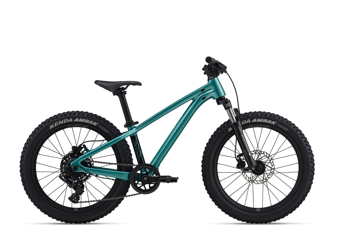 2026 Giant STP 20" Teal