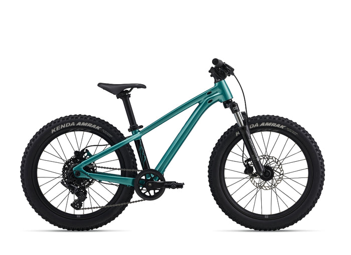 2026 Giant STP 20" Teal