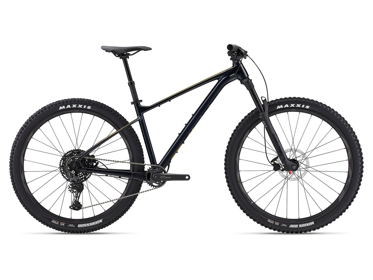 2024 Giant Fathom 29 2