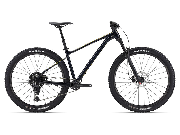 2024 Giant Fathom 29 2