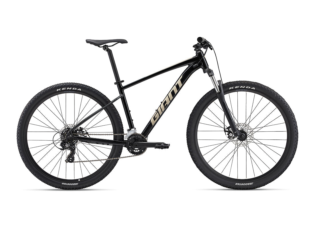 2024 Giant Talon 29 4