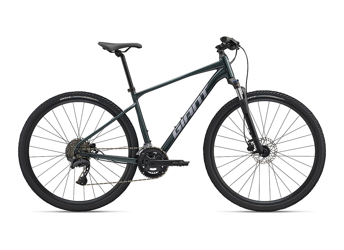 2025 Giant Roam 2