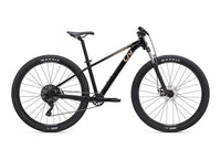 2025 Liv Tempt 29 4