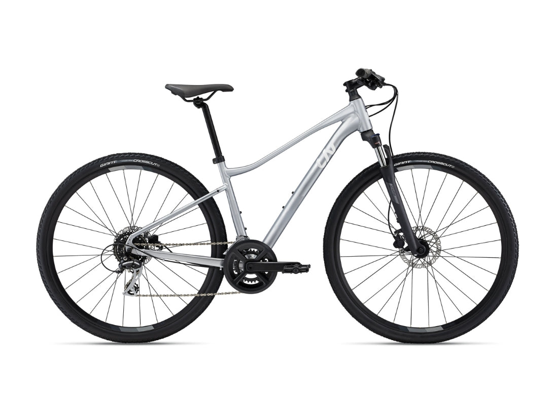 2022 Rove 3 DD XS Silver